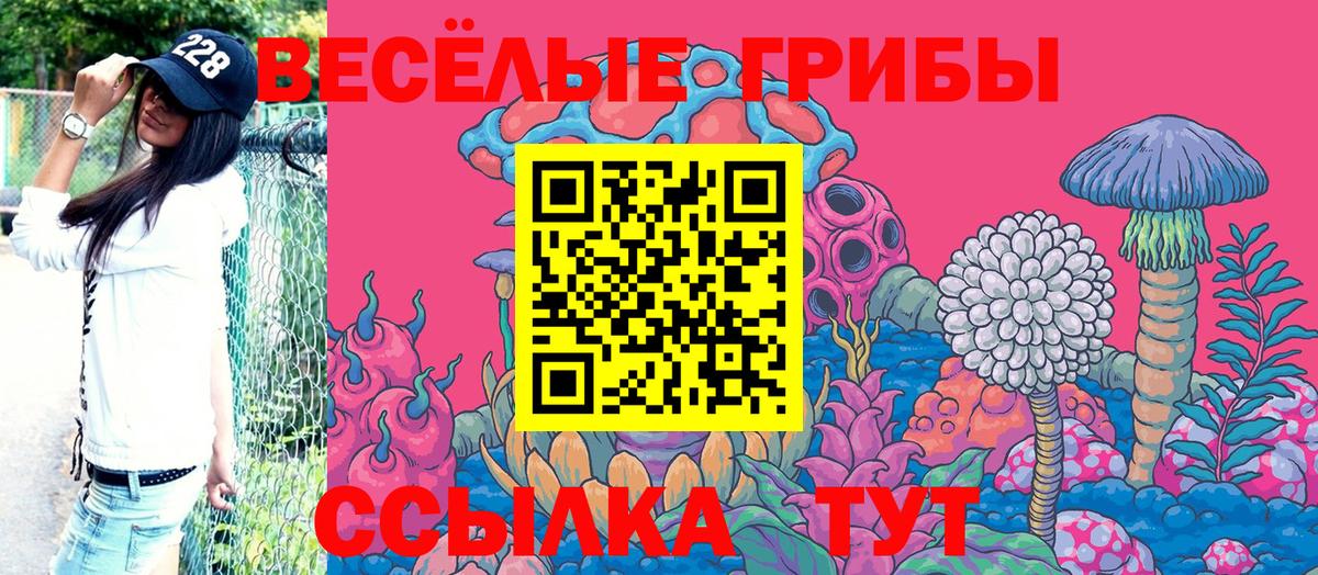 дарнет шоп  Галлюциногенные грибы Psilocybine cubensis  Тара  Вход с VPN  Псилоцибиновые грибы Psilocybe 