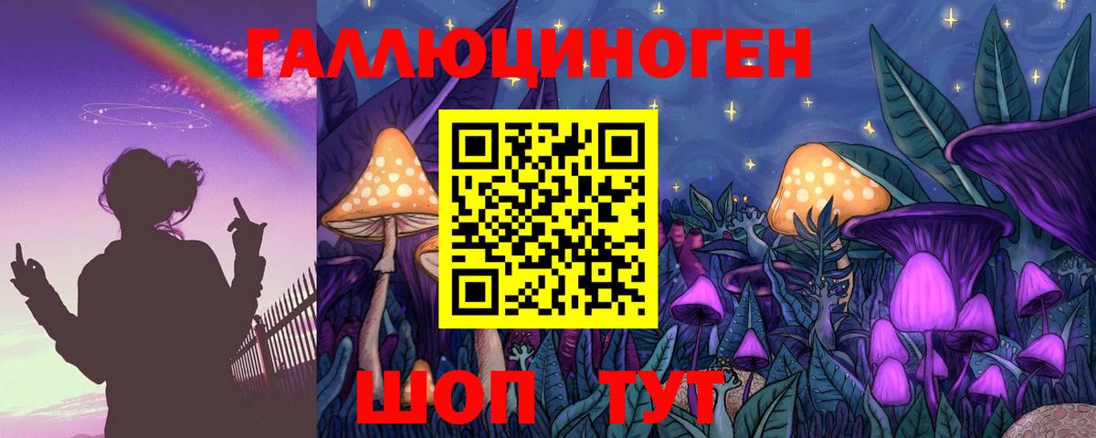 Псилоцибиновые грибы Psilocybine cubensis Тара